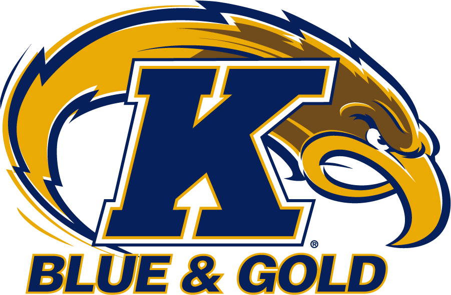 Kent State Golden Flashes 2001-2017 Secondary Logo v2 diy iron on heat transfer